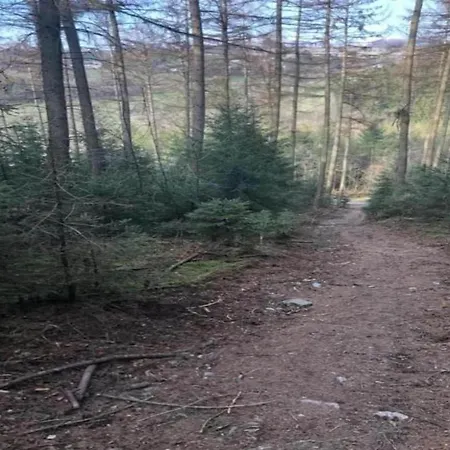 Retreat In Baugnez * Arimont